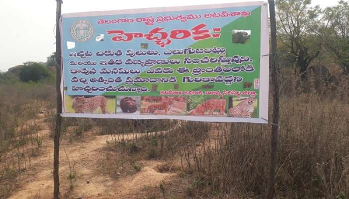 రాజన్న సిరిసిల్ల జిల్లాలో చిరుత కలకలం రాజన్న సిరిసిల్ల జిల్లాలో చిరుత కలకలం