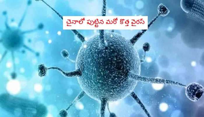 Hantavirus: చైనాలో మరో కొత్త వైరస్.. అదేంటి ? ఎలా వ్యాపిస్తుంది ? Hantavirus: చైనాలో మరో కొత్త వైరస్.. అదేంటి ? ఎలా వ్యాపిస్తుంది ?