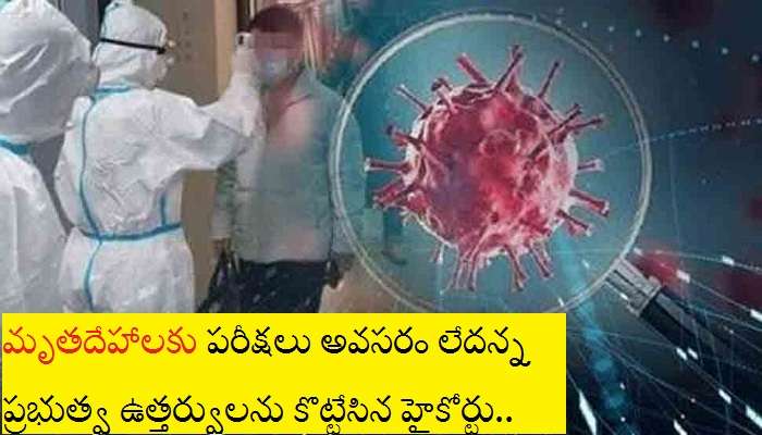 Coronavirus Tests: పూర్తి వివరాలు జూన్ 4లోగా నివేదించాలి.. టీ సర్కారుకు హై కోర్ట్ ఆదేశం.. Coronavirus Tests: పూర్తి వివరాలు జూన్ 4లోగా నివేదించాలి.. టీ సర్కారుకు హై కోర్ట్ ఆదేశం..