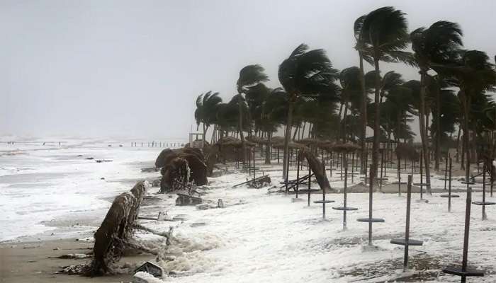 Monsoon updates: కేరళను తాకిన రుతుపవనాలు.. విస్తారంగా కురుస్తున్న వర్షాలు Monsoon updates: కేరళను తాకిన రుతుపవనాలు.. విస్తారంగా కురుస్తున్న వర్షాలు