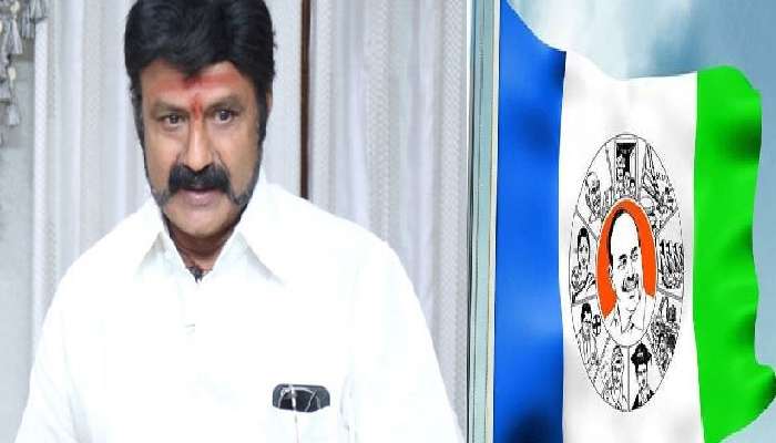 బాలకృష్ణపై సంచలనం కామెంట్స్ చేసిన వైసీపీ ఎమ్మెల్యే.. బాలకృష్ణపై సంచలనం కామెంట్స్ చేసిన వైసీపీ ఎమ్మెల్యే..