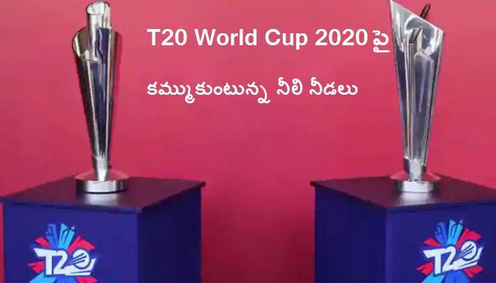 T20 World Cup 2020: టీ20 వరల్డ్ కప్ 2020‌పై ఎర్ల్ ఎడింగ్స్ కీలక వ్యాఖ్యలు