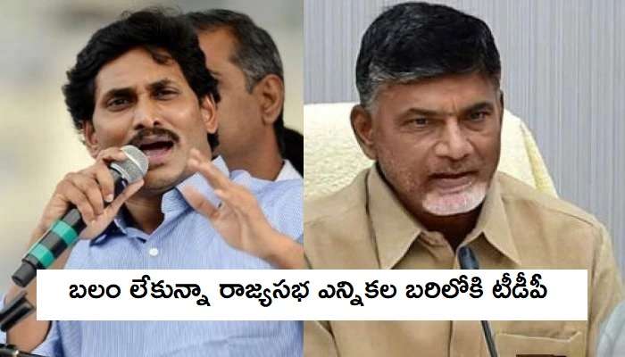 YSRCP 4 సీట్లు క్వీన్స్వీప్ చేయడం ఖాయం! YSRCP 4 సీట్లు క్వీన్స్వీప్ చేయడం ఖాయం!