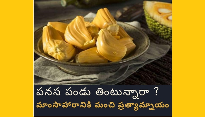 Jackfruit benefits: పనస పండుతో ప్రయోజనాలు.. మాంసాహారానికి మంచి ప్రత్యామ్నాయం