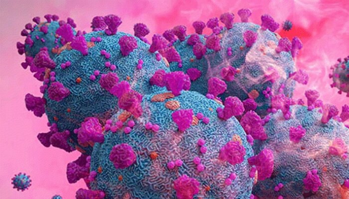 SFTS Virus China: చైనాలో కొత్త వైరస్.. ఎలా సోకుతుంది? ఎంత ప్రమాదకరం? SFTS Virus China: చైనాలో కొత్త వైరస్.. ఎలా సోకుతుంది? ఎంత ప్రమాదకరం?