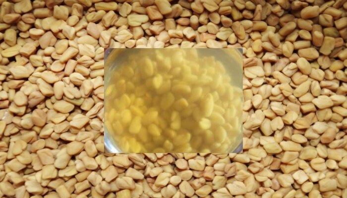 Fenugreek Seeds: మెంతులతో ఆ సమస్యలకు చెక్ పెట్టవచ్చు Fenugreek Seeds: మెంతులతో ఆ సమస్యలకు చెక్ పెట్టవచ్చు