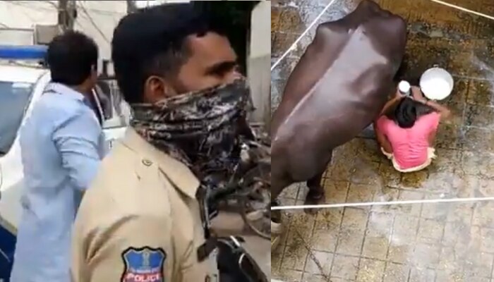 Shocking Video: పాలను ఎలా కల్తీ చేస్తున్నాడో మీరే చూడండి...