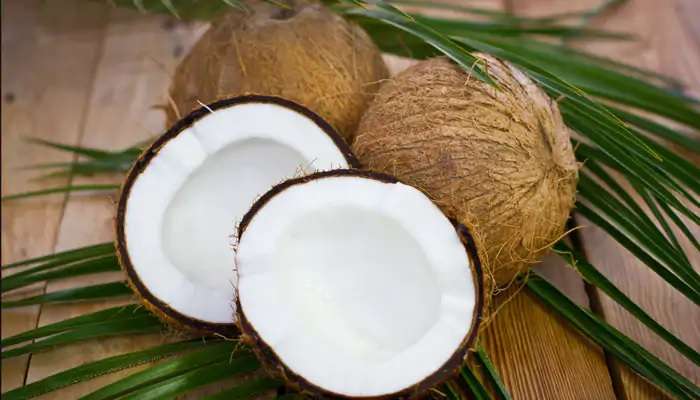 World Coconut Day 2020: ఔషధ గని కొబ్బరి.. హ్యాపీ కోకోనట్ డే