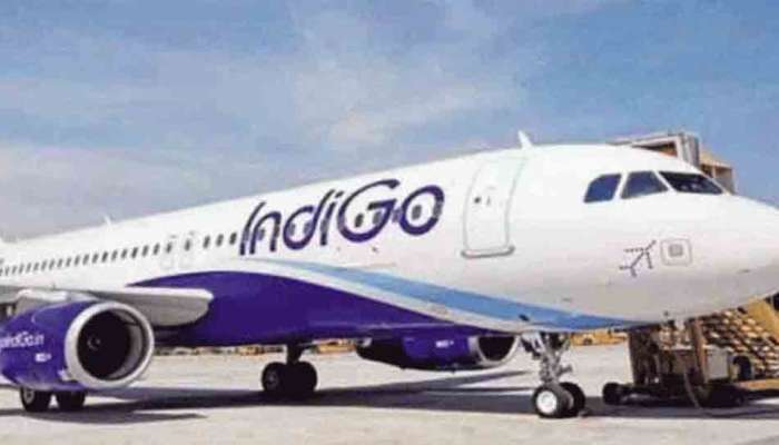INDIGO: ఇండిగో విమానాన్ని ఢికొన్న పక్షి