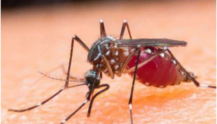 Virus Threat: భారత్ కు పొంచి ఉన్న ప్రమాదం, మరో ప్రాణాంతక వైరస్