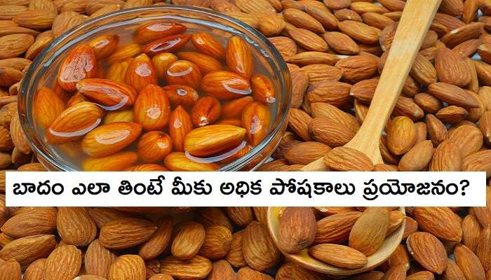 Benefits of Almonds: బాదం నానబెట్టి ఎందుకు తినాలి..? అందుకు కారణాలివే! Benefits of Almonds: బాదం నానబెట్టి ఎందుకు తినాలి..? అందుకు కారణాలివే!