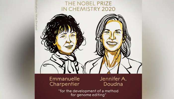  Nobel Prize in Chemistry: ఇద్దరు మహిళా శాస్త్రవేత్తలను వరించిన నోబెల్