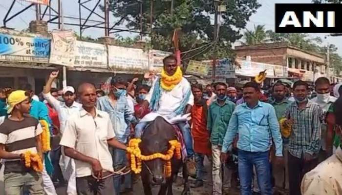 Bihar Election 2020: గెదెపై వచ్చి నామినేషన్ వేసిన ఇండిపెండెంట్ అభ్యర్థి.. కారణం ఏంటో తెలుసా ?