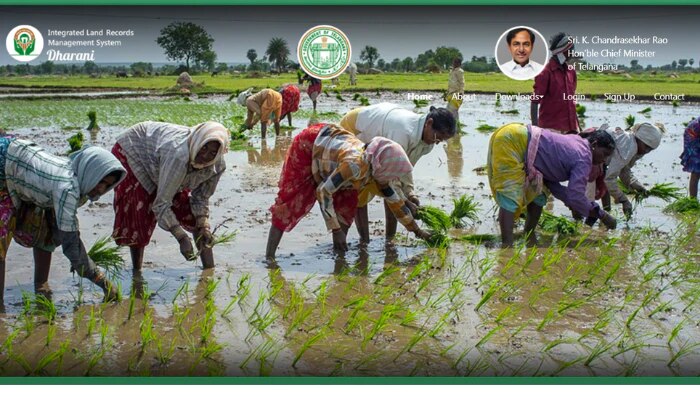 Dharani: అక్టోబర్ 29న ధరణి పోర్టల్ ప్రారంభించనున్న సీఎం కేసీఆర్ Dharani: అక్టోబర్ 29న ధరణి పోర్టల్ ప్రారంభించనున్న సీఎం కేసీఆర్