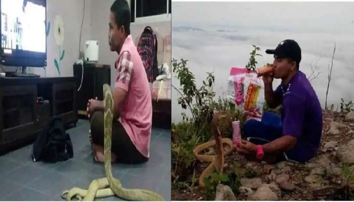 Viral: పామును పెళ్లి చేసుకున్న భగ్న ప్రేమికుడు...అసలు కథ వేరే ఉంది Viral: పామును పెళ్లి చేసుకున్న భగ్న ప్రేమికుడు...అసలు కథ వేరే ఉంది