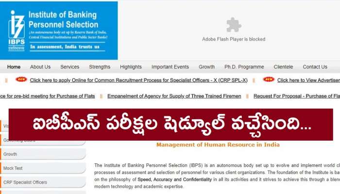 IBPS Exam Dates 2021: ఐబీపీఎస్ బ్యాంక్ ఎగ్జామ్స్ షెడ్యూలు విడుదల