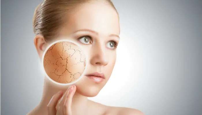 Winter Foods For Dry Skin: చలికాలం చర్మం పొడిబారకుండా ఉండాలంటే పాటించాల్సిన డైట్ Winter Foods For Dry Skin: చలికాలం చర్మం పొడిబారకుండా ఉండాలంటే పాటించాల్సిన డైట్