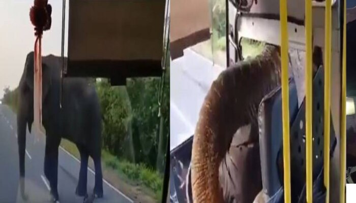 Viral Video: హైవేపై దర్జాగ దోచుకున్న గజరాజు Viral Video: హైవేపై దర్జాగ దోచుకున్న గజరాజు