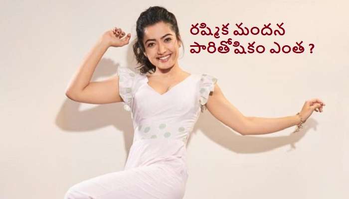 Rashmika Mandanna: రష్మిక మందన్న పారితోషికం ఎంతో తెలుసా ? Rashmika Mandanna: రష్మిక మందన్న పారితోషికం ఎంతో తెలుసా ?