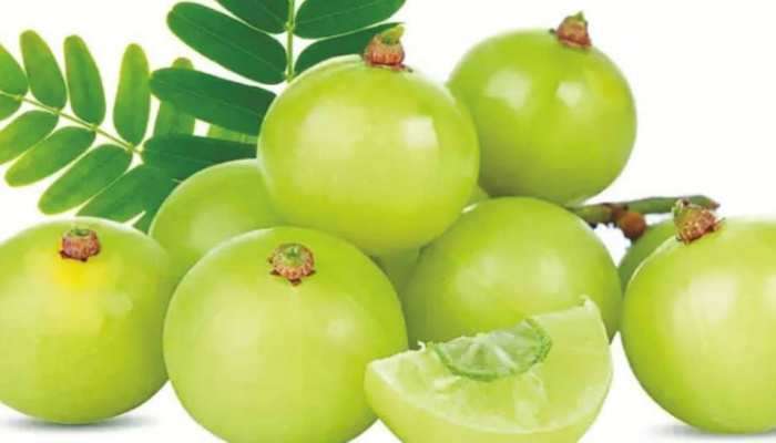 Vitamin C: ఉసిరిని ఇలా తింటే..కలిగే లాభాలు వింటే ఆశ్చర్యపోతారు