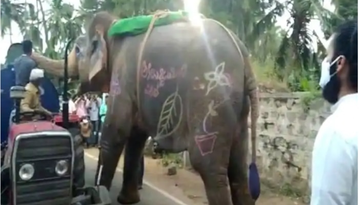 Elephant Video: పాపం ఏనుగుకు ఎంత దాహం వేసిదంటే.. ట్యాంకర్ నుంచి నీరు తాగేసింది