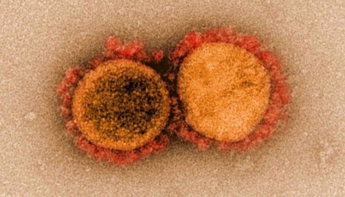 New coronavirus: భారత్‌లో కొత్త రకం కరోనా..అప్పుడే 8 కేసులు