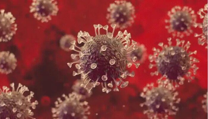 New coronavirus strain: ఫ్రాన్స్‌కు విస్తరించిన కొత్త కరోనా వైరస్..లాక్‌డౌన్ ఆంక్షలు