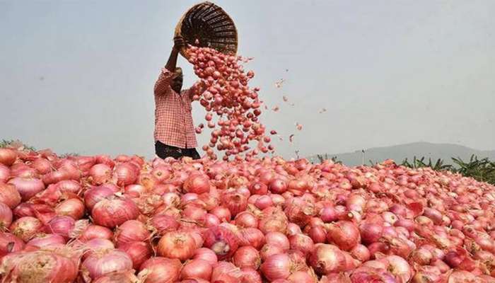 Export Of Onions: ఉల్లిపాయ ఎగుమతులపై నిషేధం ఎత్తివేత