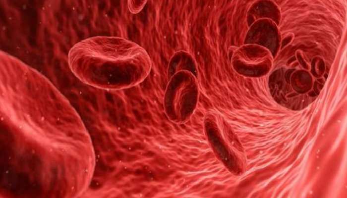 Hemoglobin: ఐరన్ లోపాన్ని ఎలా అధిగమించాలి? ఐరన్ తక్కువుంటే ఏమవుతుంది?