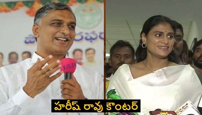 YS Sharmila&#039;s new party: వైఎస్ షర్మిల ప్రకటనపై మంత్రి Harish Rao కౌంటర్