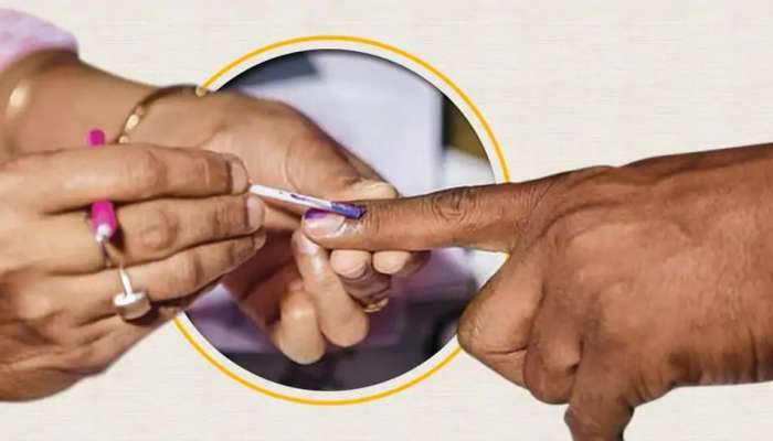 AP Municipal Elections: ఏపీలో మున్సిపల్ ఎన్నికలకు హైకోర్టు గ్రీన్ సిగ్నల్, పూర్తి వివరాలివే