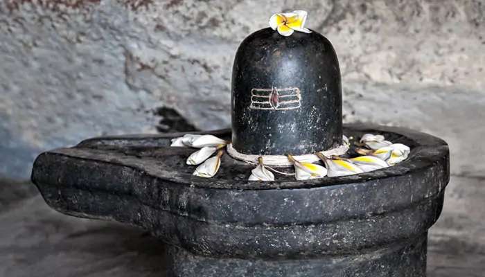 Maha Shivratri 2021: ఈ 7 పదార్థాలు, వస్తువులు శివుడికి సమర్పించకూడదని తెలుసా