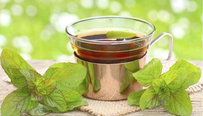 Green Tea: గ్రీన్ టీ రోగ నిరోధక శక్తి పెంచడంలో ఎలా పనిచేస్తుందో తెలుసా