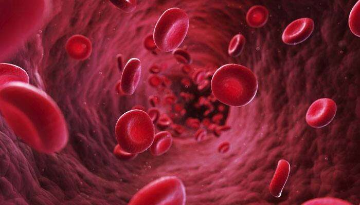 Blood Cancer Types: బ్లడ్ క్యాన్సర్ రకాలు, అందుకు కారణాలివే, చికిత్స పూర్తి వివరాలు