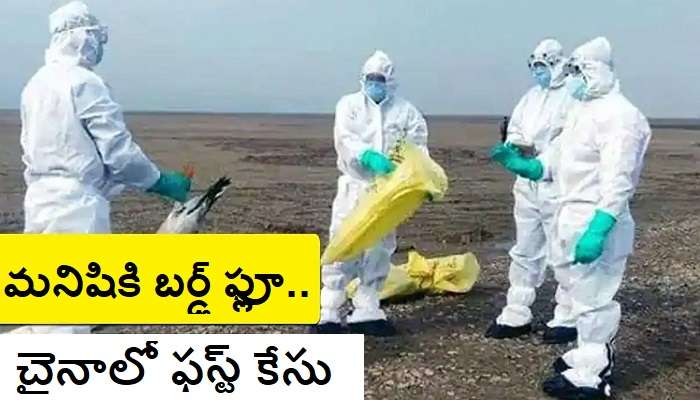 Bird flu in human: చైనాలో మనిషికి బర్డ్ ఫ్లూ.. మళ్లీ చైనాలోనే ఫస్ట్ కేసు