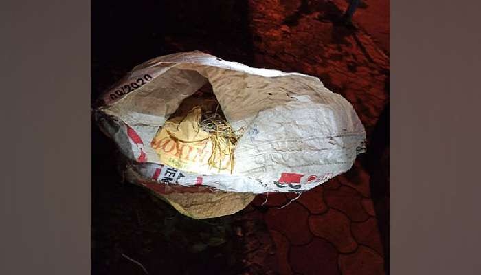 Bombs Recovered Near BJP Office: బీజేపీ ఆఫీస్ సమీపంలో బాంబుల కలకలం, రంగంలోకి దిగిన బలగాలు