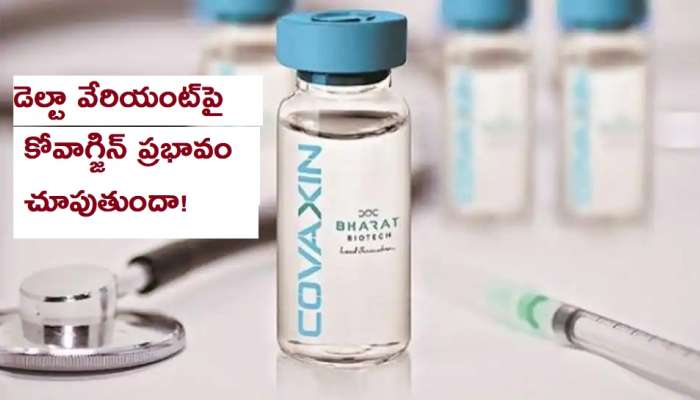 Bharat Biotech: కోవాగ్జిన్ ఫేజ్ 3 ట్రయల్స్ ఫలితాలు విడుదల చేసిన డబ్ల్యూహెచ్‌వో చీఫ్ సైంటిస్ట్