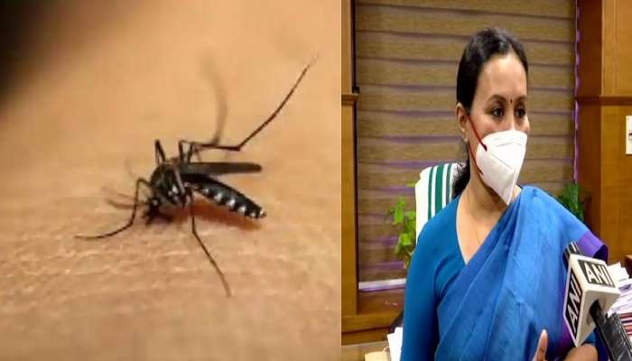 Kerala Zika Virus Cases: కేరళలో మరో జికా వైరస్ పాజిటివ్ కేసు నమోదు, ఆరోగ్య శాఖ మంత్రి ప్రకటన