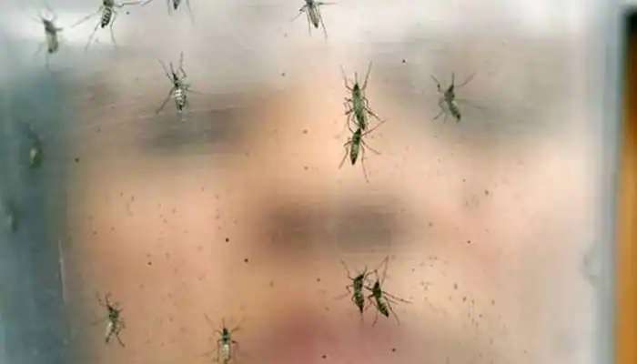 Zika Virus: కేరళలో ఆందోళన రేపుతున్న జికా వైరస్, కొత్తగా మరో ఐదు కేసులు
