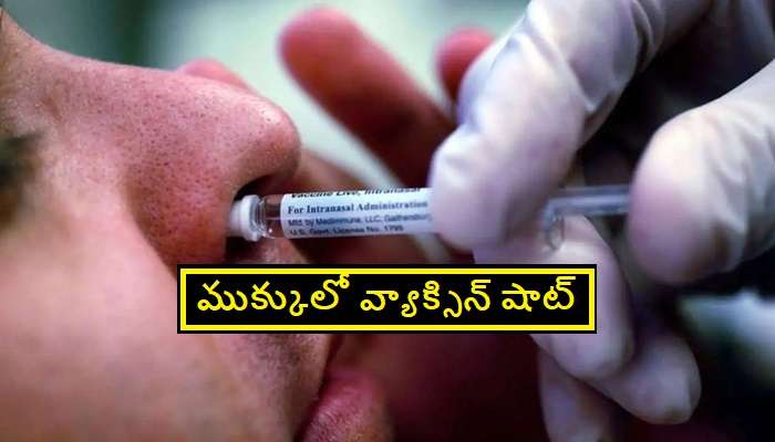 Nasal spray vaccine: నాజల్ స్ప్రే కరోనా వ్యాక్సిన్‌ సమర్థవంతంగా పనిచేస్తుందా ? Nasal spray vaccine benefits ?