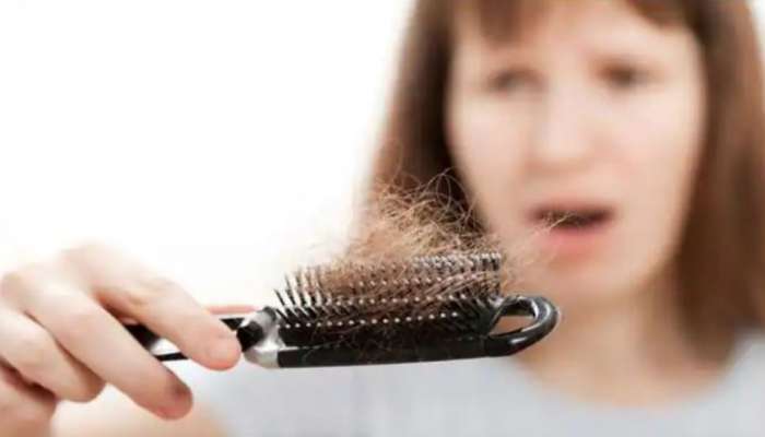 Hair Fall Problems: మీకు ఎక్కువగా జుట్టు రాలిపోతుందా? అయితే ఈ చిట్కాతో చెక్ పెట్టండి