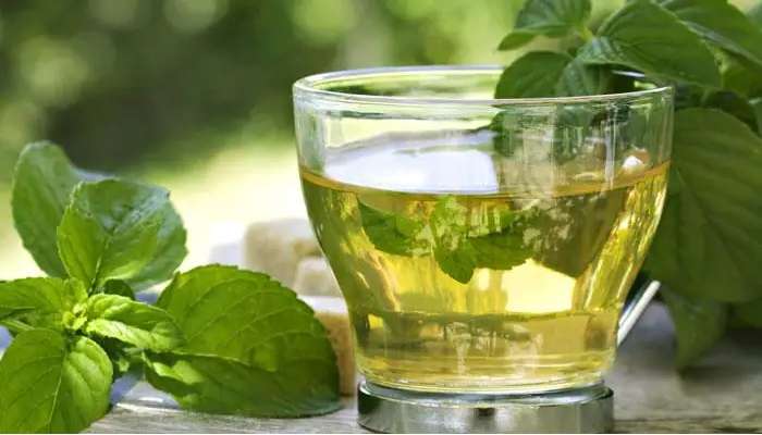 Green Tea: గ్రీన్ టీ ఎప్పుడు, ఎలా పుట్టింది, గ్రీన్ టీ ఎలా తీసుకోవాలి, ఎప్పుడు తీసుకోకూడదు