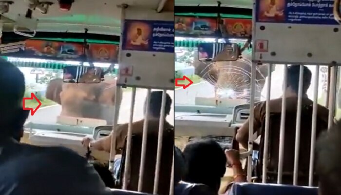 Elephant Attack on Bus: గజరాజు ఆగ్రహం... బస్సుపై దాడి.. తరువాతేం ఏం జరిగింది..??