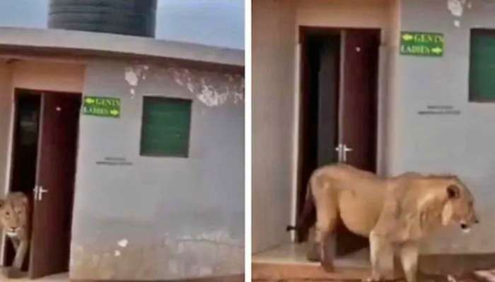 Viral Video: నాకు కొంచెం సిగ్గెక్కువ గురూ...అందుకే..!
