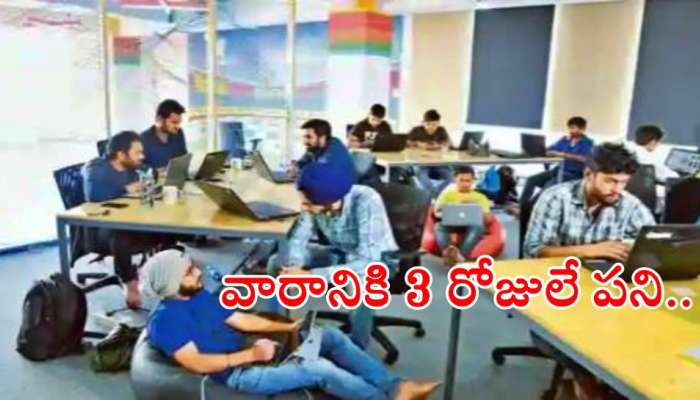 Three-day work week: ఆ స్టార్టప్ కంపెనీలో వారానికి 3 రోజులే Work.. ఎందుకో తెలుసా?