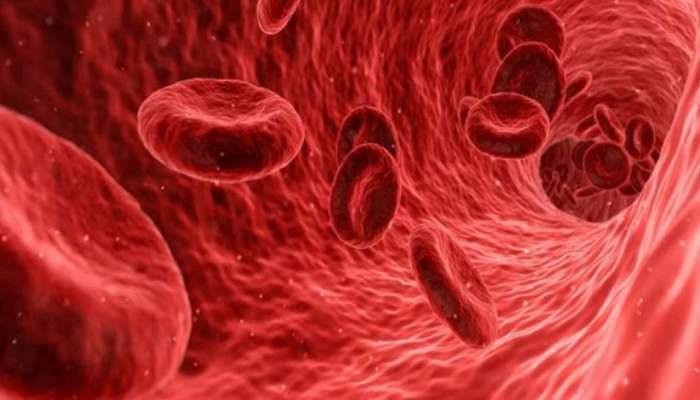 Foods Improve hemoglobin: రక్తంలో హిమోగ్లోబిన్ స్థాయిలను పెంచే ఆహారాలు పదార్థాలు 