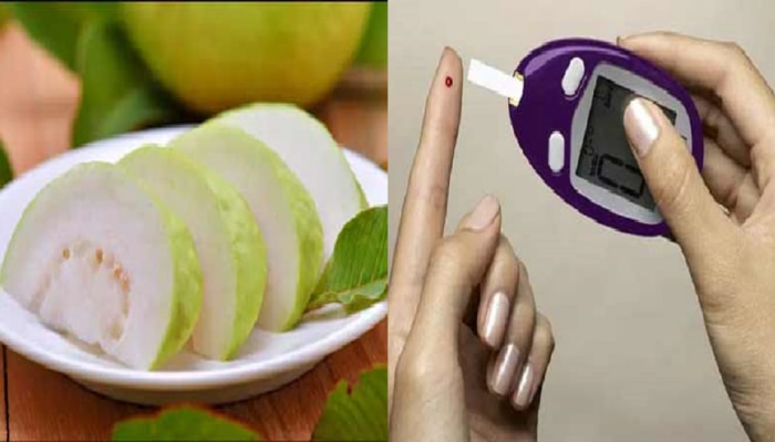 Guava for Didabetics: డయాబెటిస్ ఉందా? అయితే జామపండు తింటే చాలా మంచిది.. ఎందుకో మీరే చూడండి