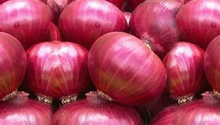 Onion Causes Disease: ఆ ఉల్లిపాయలు అస్సలు ముట్టవద్దు..చాలా డేంజర్ సుమా