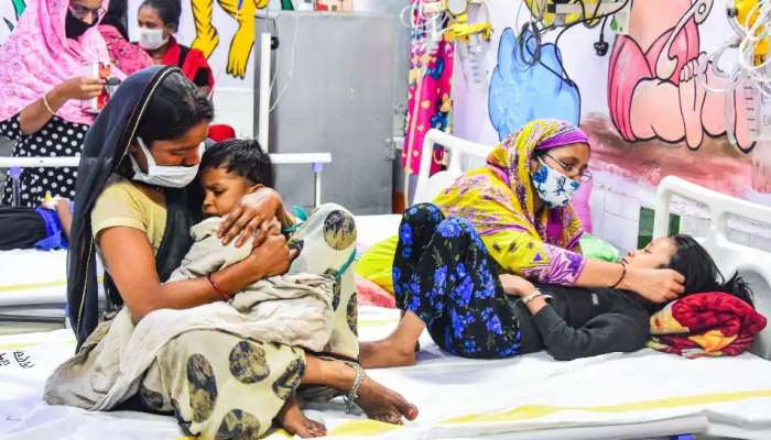 Dengue in Delhi: ఢిల్లీలో డెంగీ విజృంభణ, అప్రమత్తమైన ప్రభుత్వం