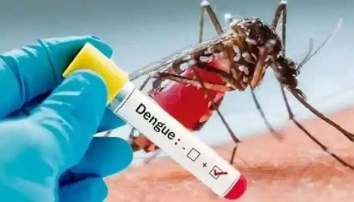 Dengue cases : డెంగీతో కలవరపడుతోన్న రాష్ట్రాలకు కేంద్ర బృందాలు